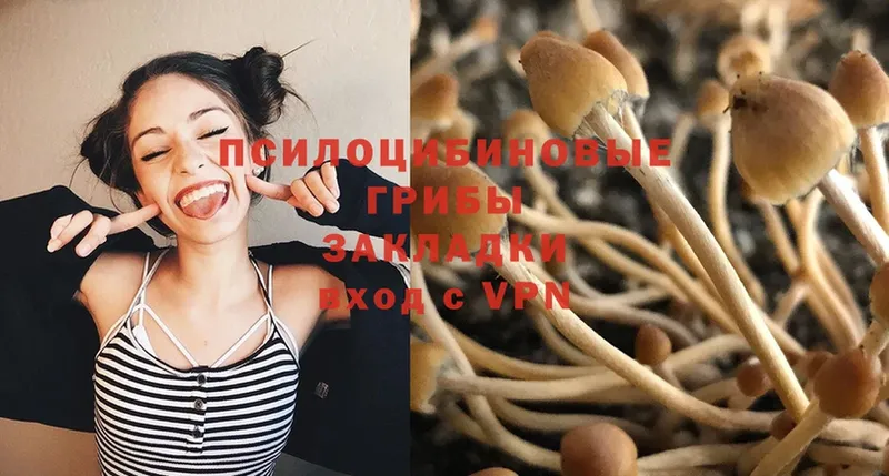 Галлюциногенные грибы Cubensis  Белозерск 